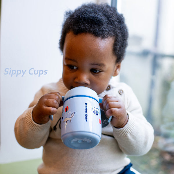 https://www.babycity.co.uk/cdn/shop/collections/Sippy_Cups_1445x.jpg?v=1684675555