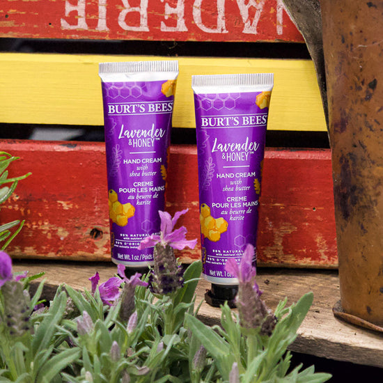 Burt's Bees Hand Cream Lavender And Honey at Baby City's Shop